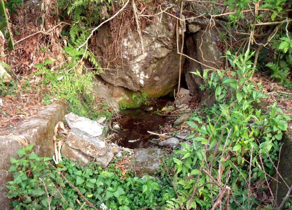 Drinking water source for the village