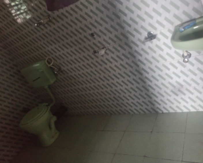 Tashi Homestay bathroom image at Icche gaon