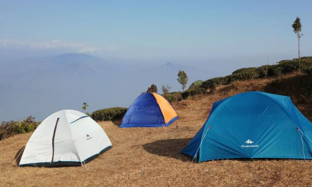 Hornbillnest Homestay tent option for night stay at Latpanchar