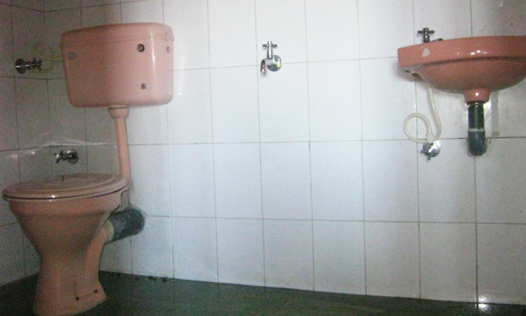 Sillary gaon nirmala village resort bathroom