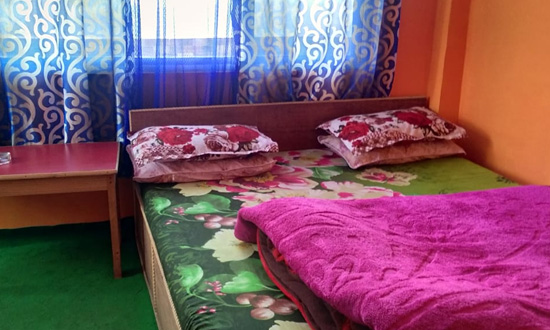 Salakha Home Stay at Lepchajagat room image with bed and bed side table