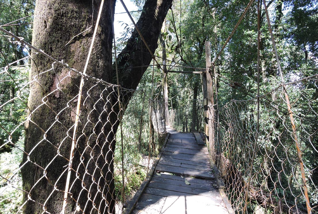 Top view of Lolegaon 180mtr hanging bridge
