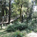 Full view of Lolegaon 180 meters long hanging bridge