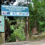 Nature interpretation center in lava