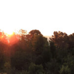 360 degree view of Kanchenjungha from tiffin dara view point
