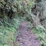 4km trek route from Lava to Rishyap