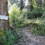 Way to Tiffin Dara view point from Rishyap