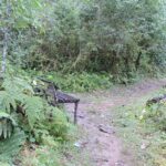 Image guide for trek to Trek to TiffinDara View Point from Rishyap