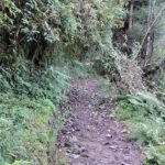 Image guide for trek to Trek to TiffinDara View Point from Rishyap
