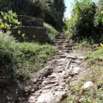 Short cart trek route from Rishyap to Seole Village