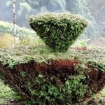Plant artwork in icche gaon