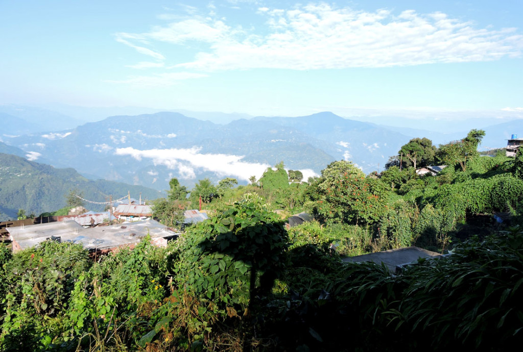 Magnificent morning homestay balcony