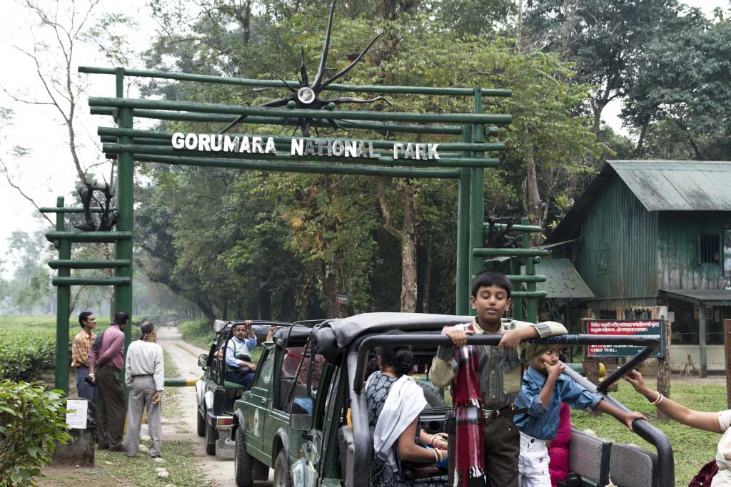 Gorumara-National-Park-Located-at-a-distance-of-52-kms-from-Jalpaiguri