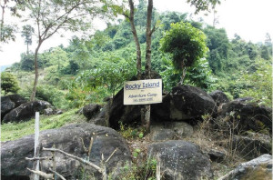 rocky-island-state_of_west_bengal3