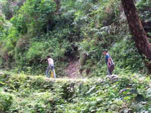 way to buxa fort through buxa tiger reserve forest