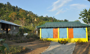 Toto Para Gayan Bahadur Rana Homestay near jaldapara