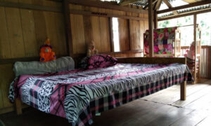 Toto Para thapa home stay bed room near jaldapara