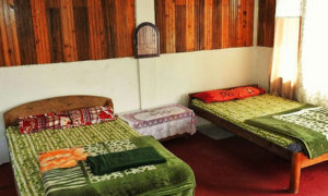 Hornbillnest Homestay bed room image at Latpanchar