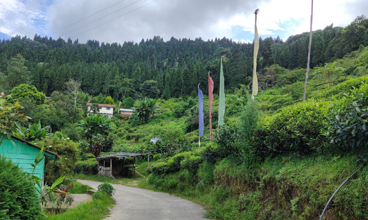 Tinchule village view near Noryang-Homestay