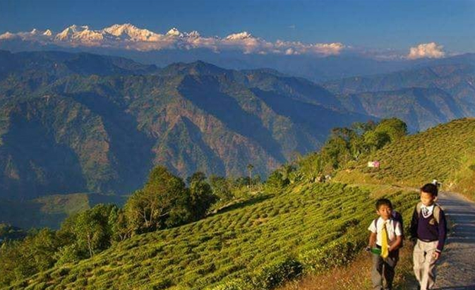 Tukvar tea garden homestay kanchanjangha and village children view